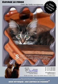 Flyer_2010.jpg