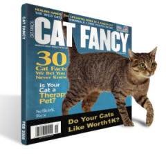 cat_outta_the_mag.jpg