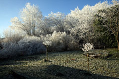 hiver.jpg