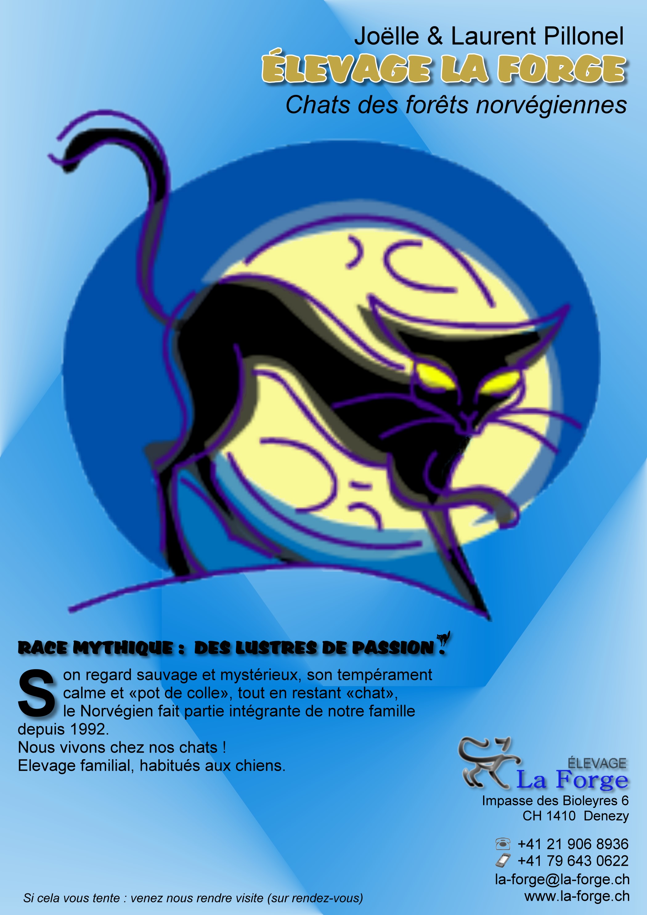 Welcome To Our Pet Home