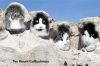 Mount_CatRushmore.jpg